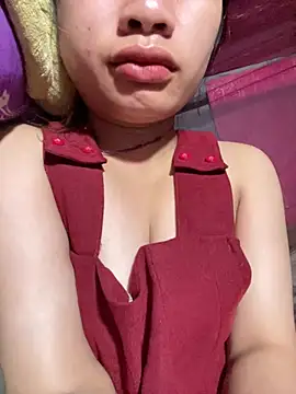 beobeo_2xx webcam
