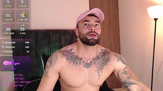 Diegoarctic webcam