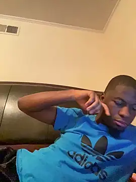 ThickDic28 webcam