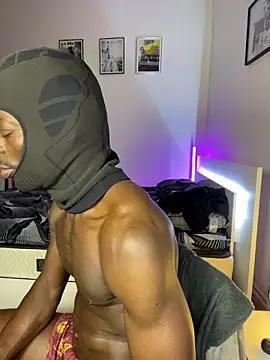 segbemal webcam