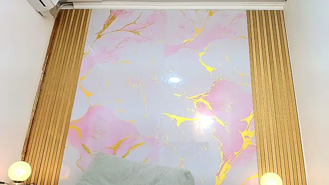 PaulineKosh webcam