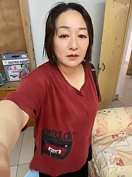 Ruyier webcam