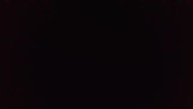 panda_06200 webcam