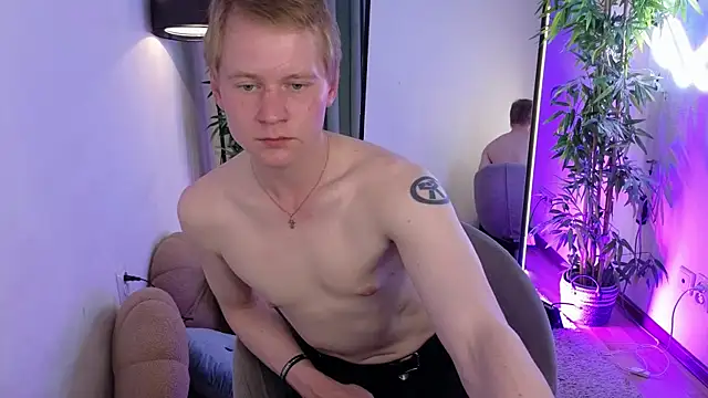 softdeutch webcam