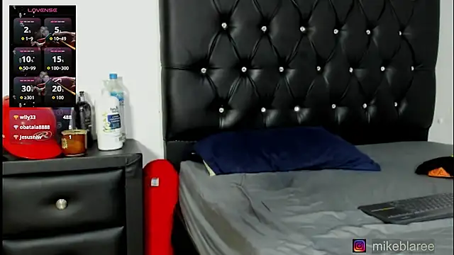 mikeblaree webcam