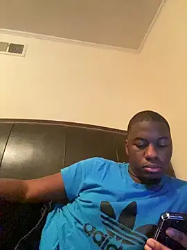 ThickDic28 webcam