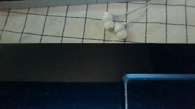 st206boy webcam