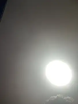 stevo170t webcam