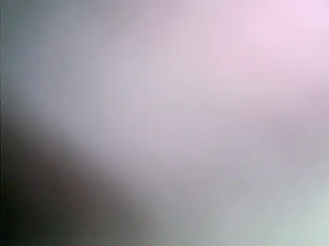 finesseboss webcam