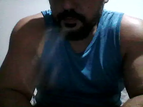 stallony webcam