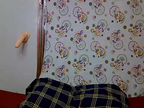 budy_wet webcam