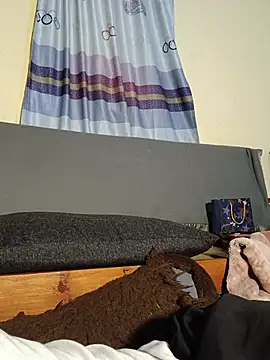 69_SINNS webcam