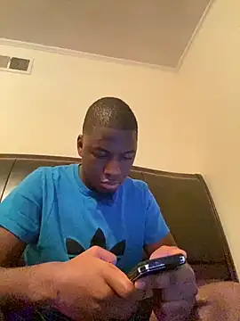 ThickDic28 webcam