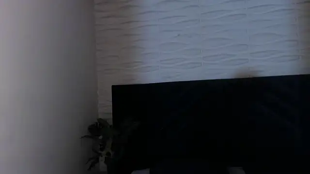 AustinJones_ webcam