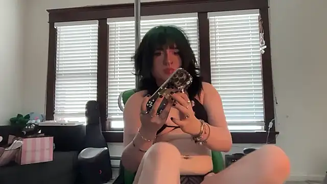 vrtual_kitty webcam