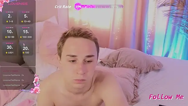 e1v1s webcam