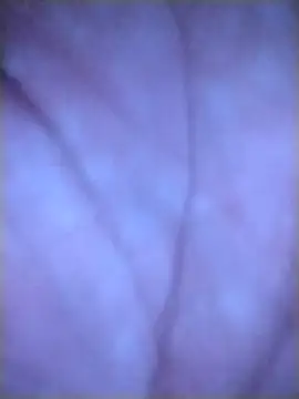 Chagy10dona webcam