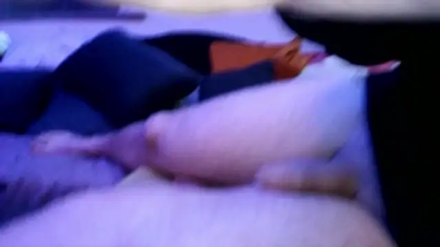 0815lukas2024 webcam