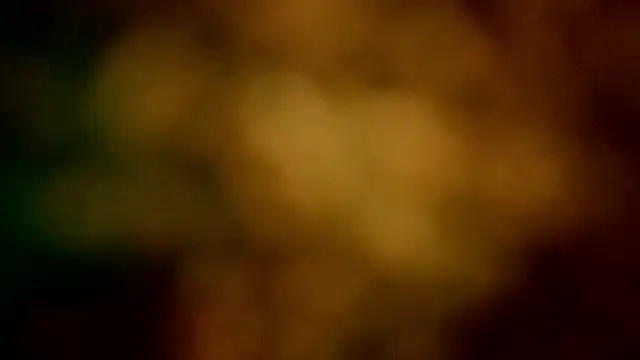 barbara_leython webcam