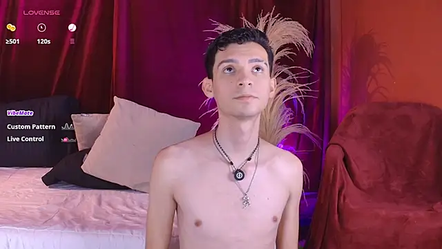VicenteFerrer webcam