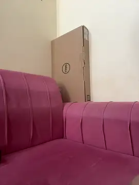 LuxeAura webcam