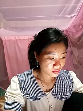 Hiniyk2 webcam