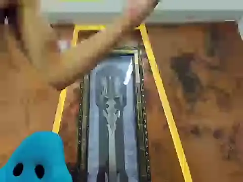 monky_0002 webcam