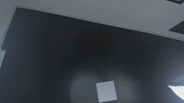 Zoee_js webcam