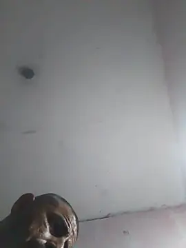 cobrosdepagos webcam