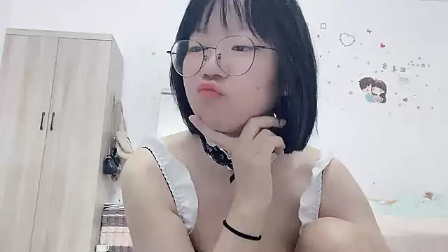 Belle-LL webcam