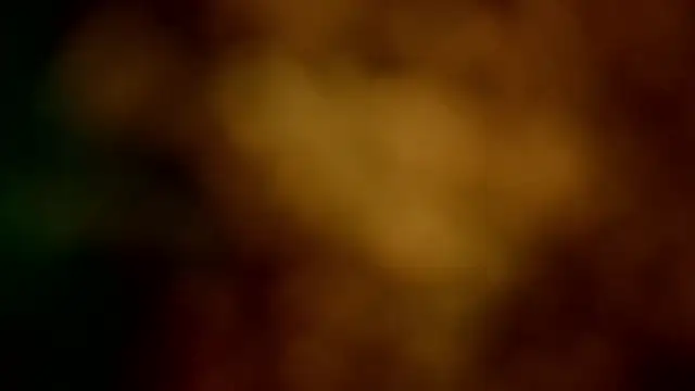 barbara_leython webcam