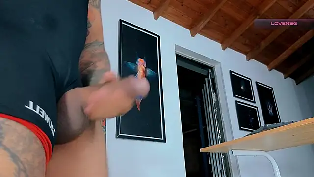 SilvaBranko webcam