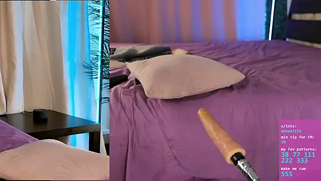 webpetite webcam