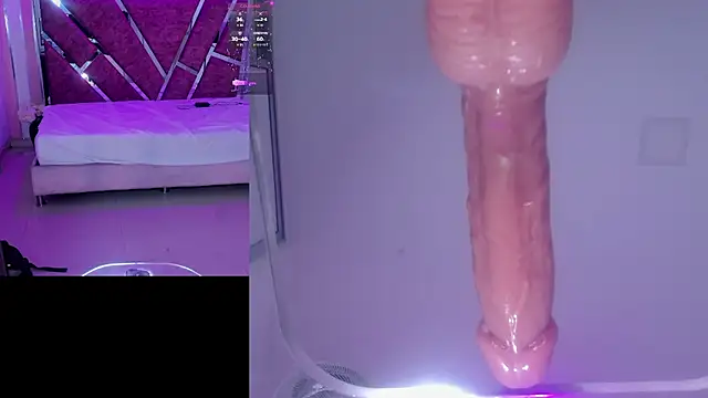 AriHale_ webcam