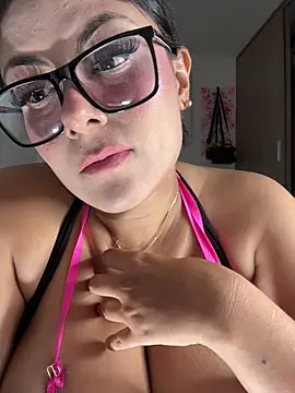 linatarens webcam