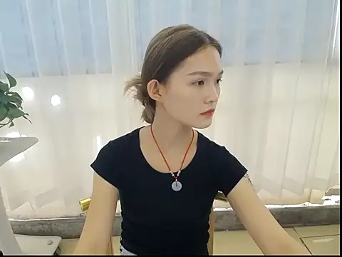 Aecs12 webcam