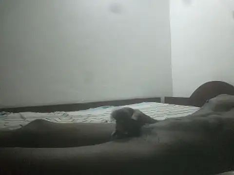 Geespise webcam