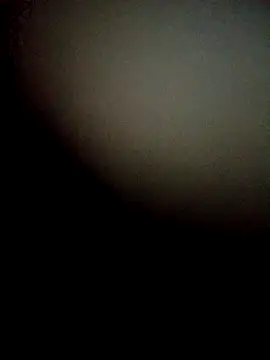 dogui5 webcam