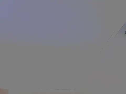 studlyhardwoodd webcam