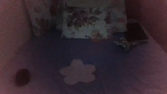 st206boy webcam
