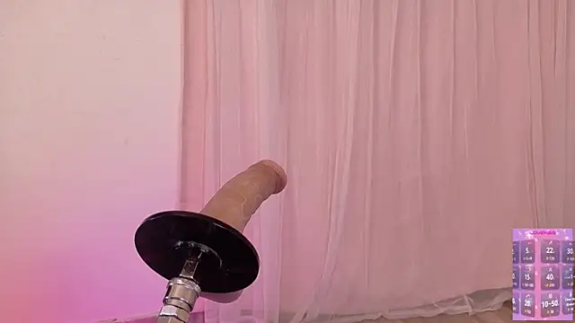 Haelycute webcam