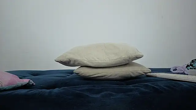 brandy_h9 webcam