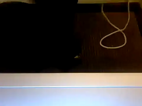 Teddy4420 webcam