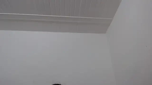 ElizabethMiler live cam on StripChat