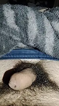YoungBR live cam on StripChat