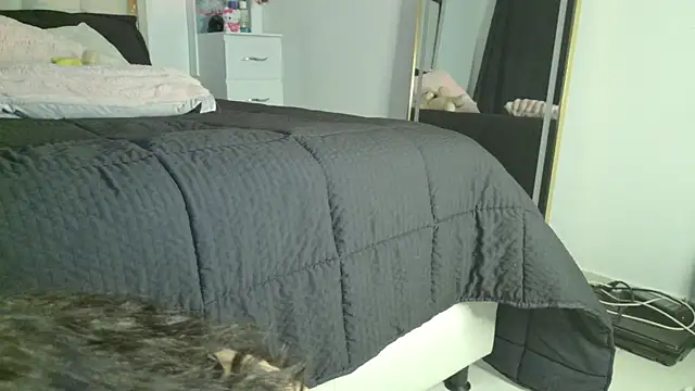 Eva_sin18