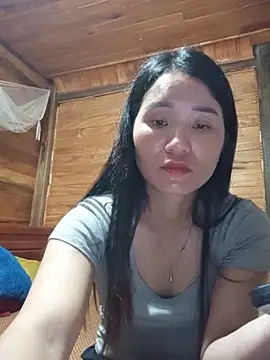 Td3di webcam
