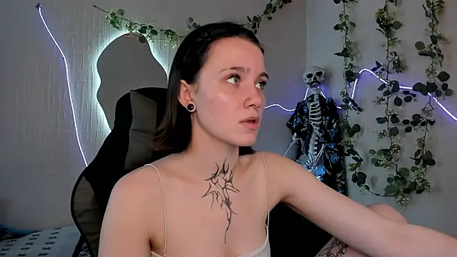 Elastikisss webcam