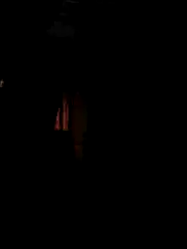sub_slave_indi webcam