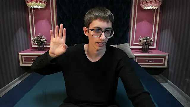 RonBevs webcam